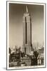 Empire State Building, New York City-null-Mounted Art Print