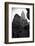 Empire State Building-John Gusky-Framed Photographic Print