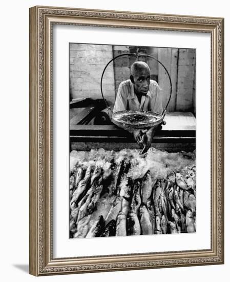 Employee of Fish Stall in the Old City Market-Robert W^ Kelley-Framed Photographic Print