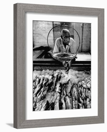 Employee of Fish Stall in the Old City Market-Robert W^ Kelley-Framed Photographic Print