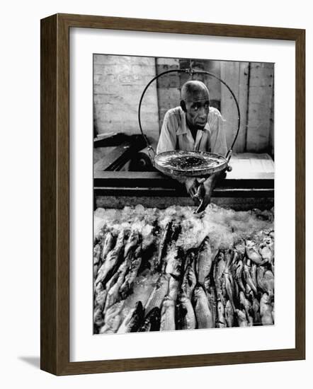 Employee of Fish Stall in the Old City Market-Robert W^ Kelley-Framed Photographic Print