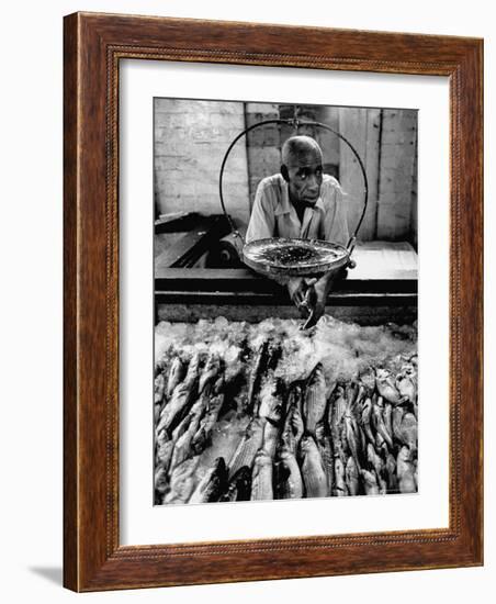 Employee of Fish Stall in the Old City Market-Robert W^ Kelley-Framed Photographic Print