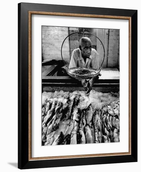 Employee of Fish Stall in the Old City Market-Robert W^ Kelley-Framed Photographic Print