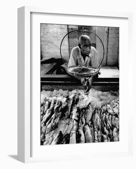 Employee of Fish Stall in the Old City Market-Robert W^ Kelley-Framed Photographic Print