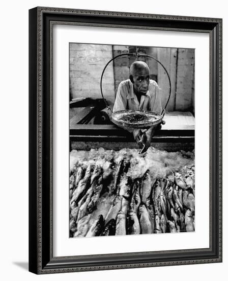 Employee of Fish Stall in the Old City Market-Robert W^ Kelley-Framed Photographic Print