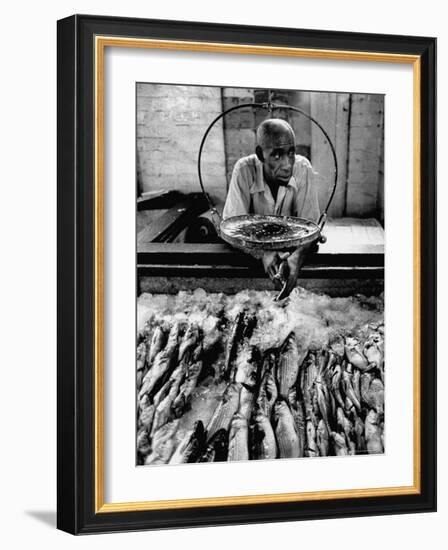 Employee of Fish Stall in the Old City Market-Robert W^ Kelley-Framed Photographic Print