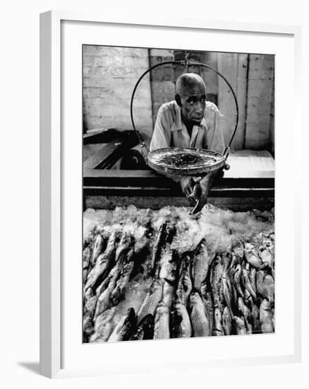 Employee of Fish Stall in the Old City Market-Robert W^ Kelley-Framed Photographic Print