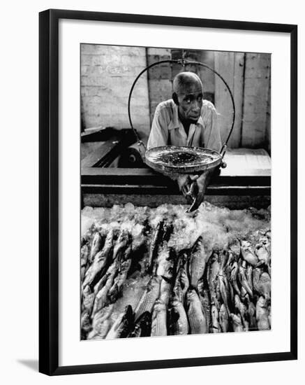 Employee of Fish Stall in the Old City Market-Robert W^ Kelley-Framed Photographic Print