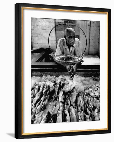 Employee of Fish Stall in the Old City Market-Robert W^ Kelley-Framed Photographic Print