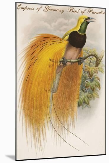 Empress of Germany Bird of Paradise.-John Gould-Mounted Art Print