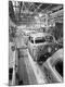 Premium Photographic Print