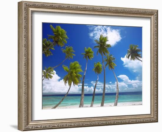 Empty Beach and Palm Trees, Maldives, Indian Ocean-Papadopoulos Sakis-Framed Photographic Print