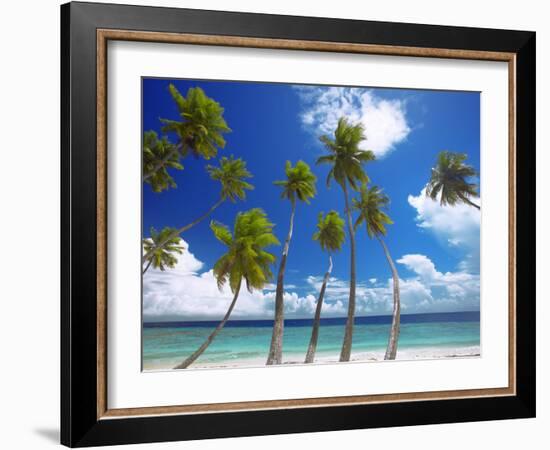 Empty Beach and Palm Trees, Maldives, Indian Ocean-Papadopoulos Sakis-Framed Photographic Print