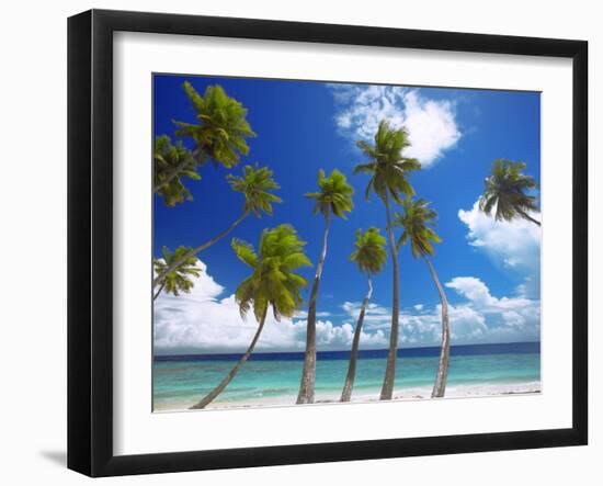 Empty Beach and Palm Trees, Maldives, Indian Ocean-Papadopoulos Sakis-Framed Photographic Print