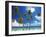 Empty Beach and Palm Trees, Maldives, Indian Ocean-Papadopoulos Sakis-Framed Photographic Print