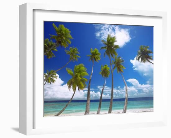 Empty Beach and Palm Trees, Maldives, Indian Ocean-Papadopoulos Sakis-Framed Photographic Print