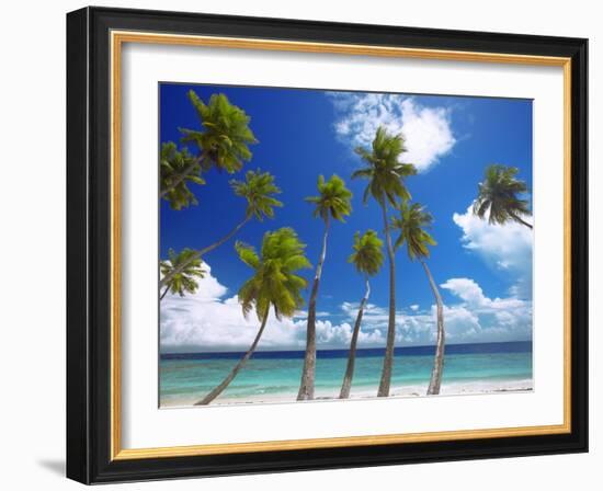 Empty Beach and Palm Trees, Maldives, Indian Ocean-Papadopoulos Sakis-Framed Photographic Print