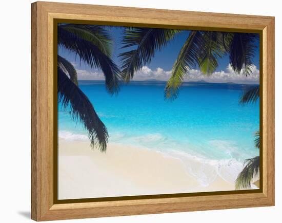 Empty Beach and Palms Trees, Seychelles, Indian Ocean, Africa-Sakis Papadopoulos-Framed Premier Image Canvas