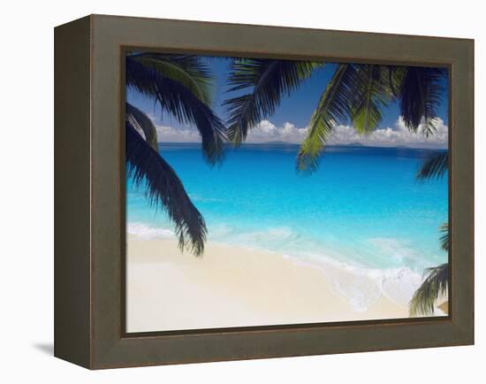 Empty Beach and Palms Trees, Seychelles, Indian Ocean, Africa-Sakis Papadopoulos-Framed Premier Image Canvas