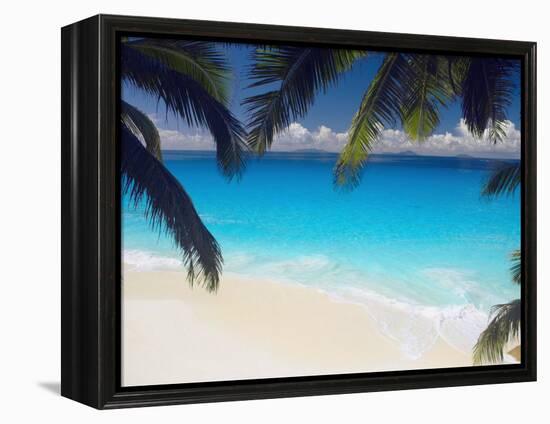 Empty Beach and Palms Trees, Seychelles, Indian Ocean, Africa-Sakis Papadopoulos-Framed Premier Image Canvas