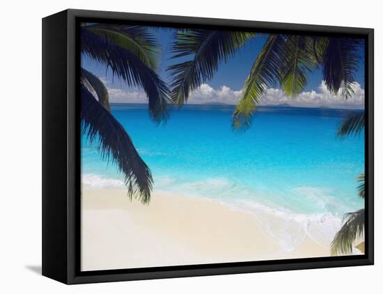 Empty Beach and Palms Trees, Seychelles, Indian Ocean, Africa-Sakis Papadopoulos-Framed Premier Image Canvas