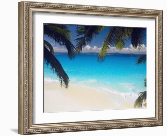 Empty Beach and Palms Trees, Seychelles, Indian Ocean, Africa-Sakis Papadopoulos-Framed Photographic Print