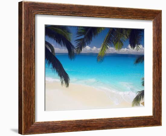 Empty Beach and Palms Trees, Seychelles, Indian Ocean, Africa-Sakis Papadopoulos-Framed Photographic Print