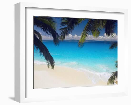 Empty Beach and Palms Trees, Seychelles, Indian Ocean, Africa-Sakis Papadopoulos-Framed Photographic Print