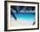 Empty Beach and Palms Trees, Seychelles, Indian Ocean, Africa-Sakis Papadopoulos-Framed Photographic Print