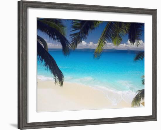 Empty Beach and Palms Trees, Seychelles, Indian Ocean, Africa-Sakis Papadopoulos-Framed Photographic Print