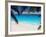 Empty Beach and Palms Trees, Seychelles, Indian Ocean, Africa-Sakis Papadopoulos-Framed Photographic Print