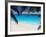 Empty Beach and Palms Trees, Seychelles, Indian Ocean, Africa-Sakis Papadopoulos-Framed Photographic Print