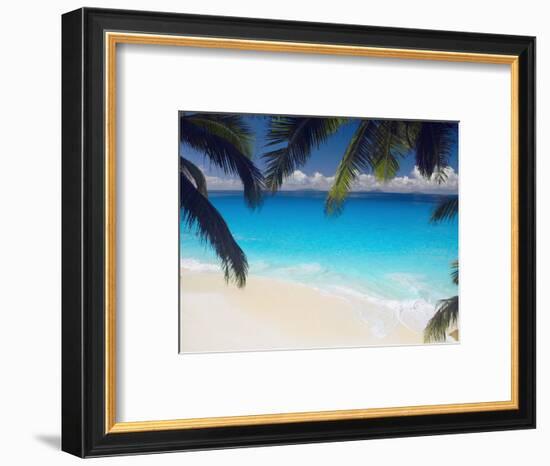 Empty Beach and Palms Trees, Seychelles, Indian Ocean, Africa-Sakis Papadopoulos-Framed Photographic Print