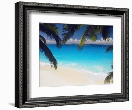 Empty Beach and Palms Trees, Seychelles, Indian Ocean, Africa-Sakis Papadopoulos-Framed Photographic Print