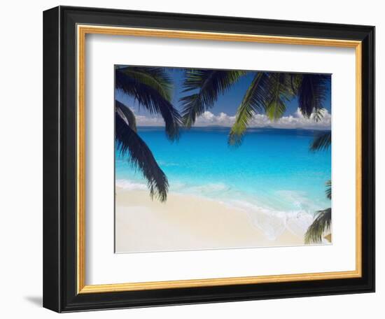 Empty Beach and Palms Trees, Seychelles, Indian Ocean, Africa-Sakis Papadopoulos-Framed Photographic Print