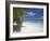 Empty Beach on Tropical Island, Maldives, Indian Ocean, Asia-Sakis Papadopoulos-Framed Photographic Print