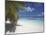 Empty Beach on Tropical Island, Maldives, Indian Ocean, Asia-Sakis Papadopoulos-Mounted Photographic Print