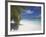 Empty Beach on Tropical Island, Maldives, Indian Ocean, Asia-Sakis Papadopoulos-Framed Photographic Print