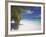 Empty Beach on Tropical Island, Maldives, Indian Ocean, Asia-Sakis Papadopoulos-Framed Photographic Print