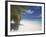 Empty Beach on Tropical Island, Maldives, Indian Ocean, Asia-Sakis Papadopoulos-Framed Photographic Print