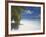 Empty Beach on Tropical Island, Maldives, Indian Ocean, Asia-Sakis Papadopoulos-Framed Photographic Print