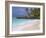 Empty Beach, Seychelles, Indian Ocean, Africa-Papadopoulos Sakis-Framed Photographic Print