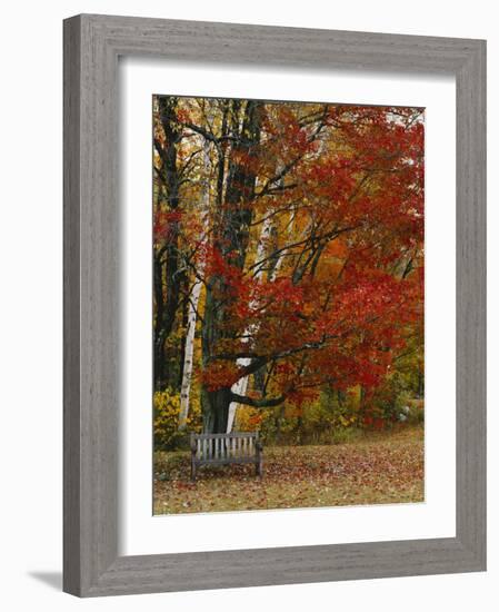 Empty Bench under Maple Tree, Twin Ponds Farm, West River Valley, Vermont, USA-Scott T^ Smith-Framed Photographic Print