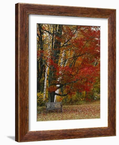 Empty Bench under Maple Tree, Twin Ponds Farm, West River Valley, Vermont, USA-Scott T^ Smith-Framed Photographic Print