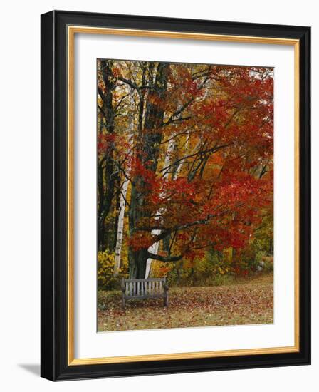 Empty Bench under Maple Tree, Twin Ponds Farm, West River Valley, Vermont, USA-Scott T^ Smith-Framed Photographic Print