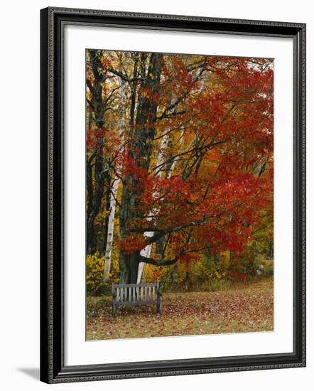 Empty Bench under Maple Tree, Twin Ponds Farm, West River Valley, Vermont, USA-Scott T^ Smith-Framed Photographic Print