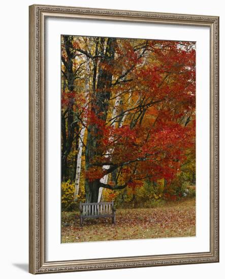 Empty Bench under Maple Tree, Twin Ponds Farm, West River Valley, Vermont, USA-Scott T^ Smith-Framed Photographic Print