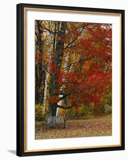 Empty Bench under Maple Tree, Twin Ponds Farm, West River Valley, Vermont, USA-Scott T^ Smith-Framed Photographic Print