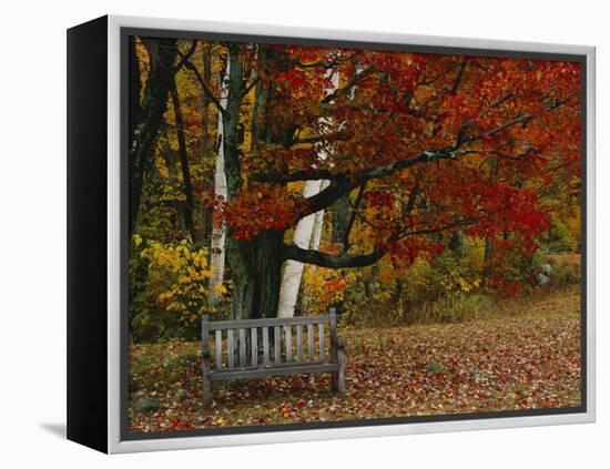 Empty Bench under Maple Tree, Twin Ponds Farm, West River Valley, Vermont, USA-Scott T^ Smith-Framed Premier Image Canvas