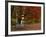 Empty Bench under Maple Tree, Twin Ponds Farm, West River Valley, Vermont, USA-Scott T^ Smith-Framed Photographic Print